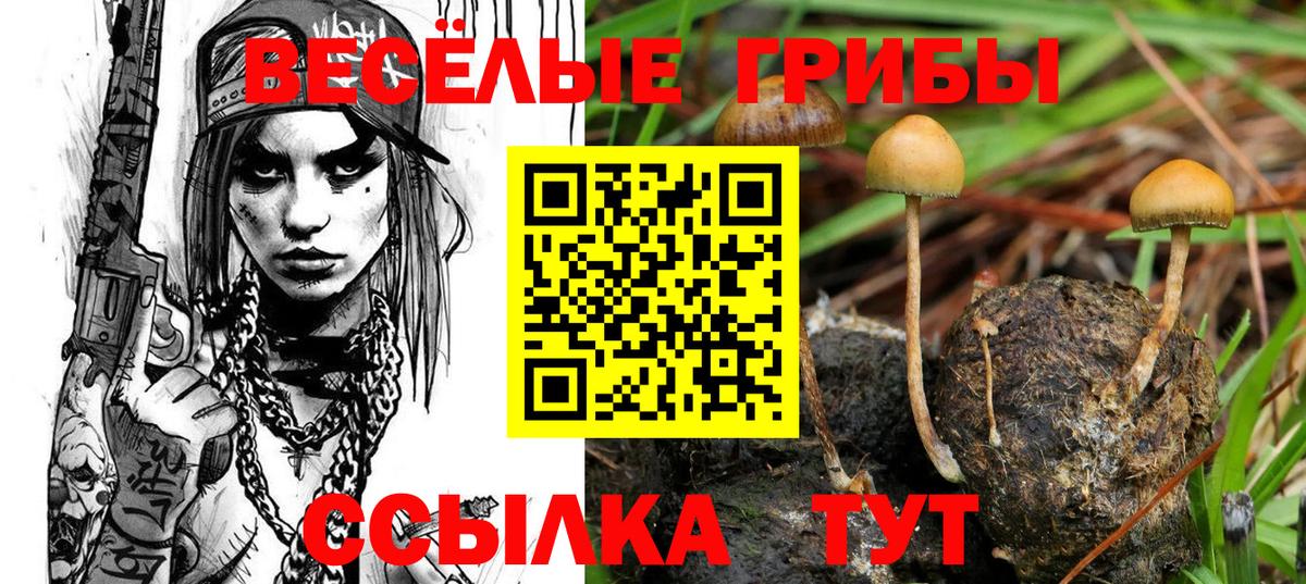 где купить   Вход с VPN  Новоалтайск  Псилоцибиновые грибы Psilocybine cubensis 